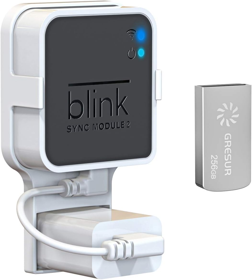 256GB USB Flash Drive for Local Video Storage with The Blink Sync Module 2 Mount (Blink Add-On Sync Module 2 is NOT Included) 256 GB (Pack of 1)