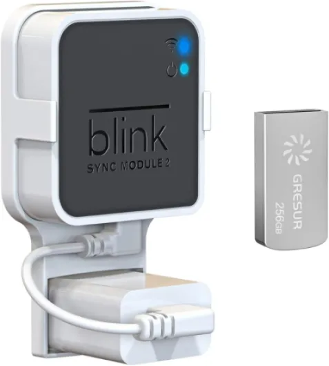 256GB USB Flash Drive for Local Video Storage with The Blink Sync Module 2 Mount (Blink Add-On Sync Module 2 is NOT Included) 256 GB (Pack of 1)