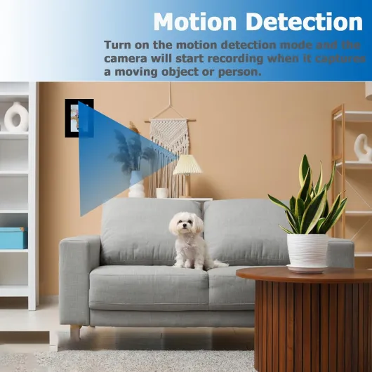 71bTD8C9pdL._AC_SL1500_