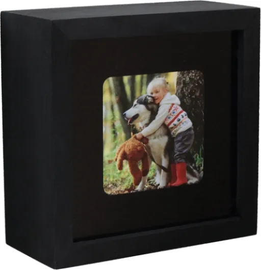 Home Security Camera Enclosure - Black