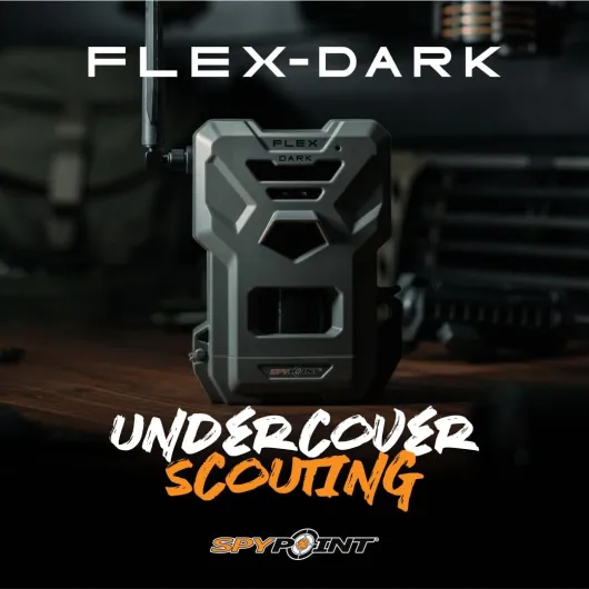 61bOOw0hj8L._AC_SL1081_