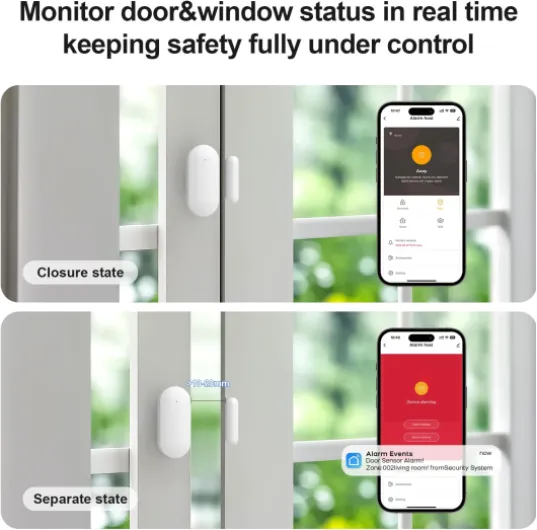 718Mj4ENjlL._AC_SL1500_