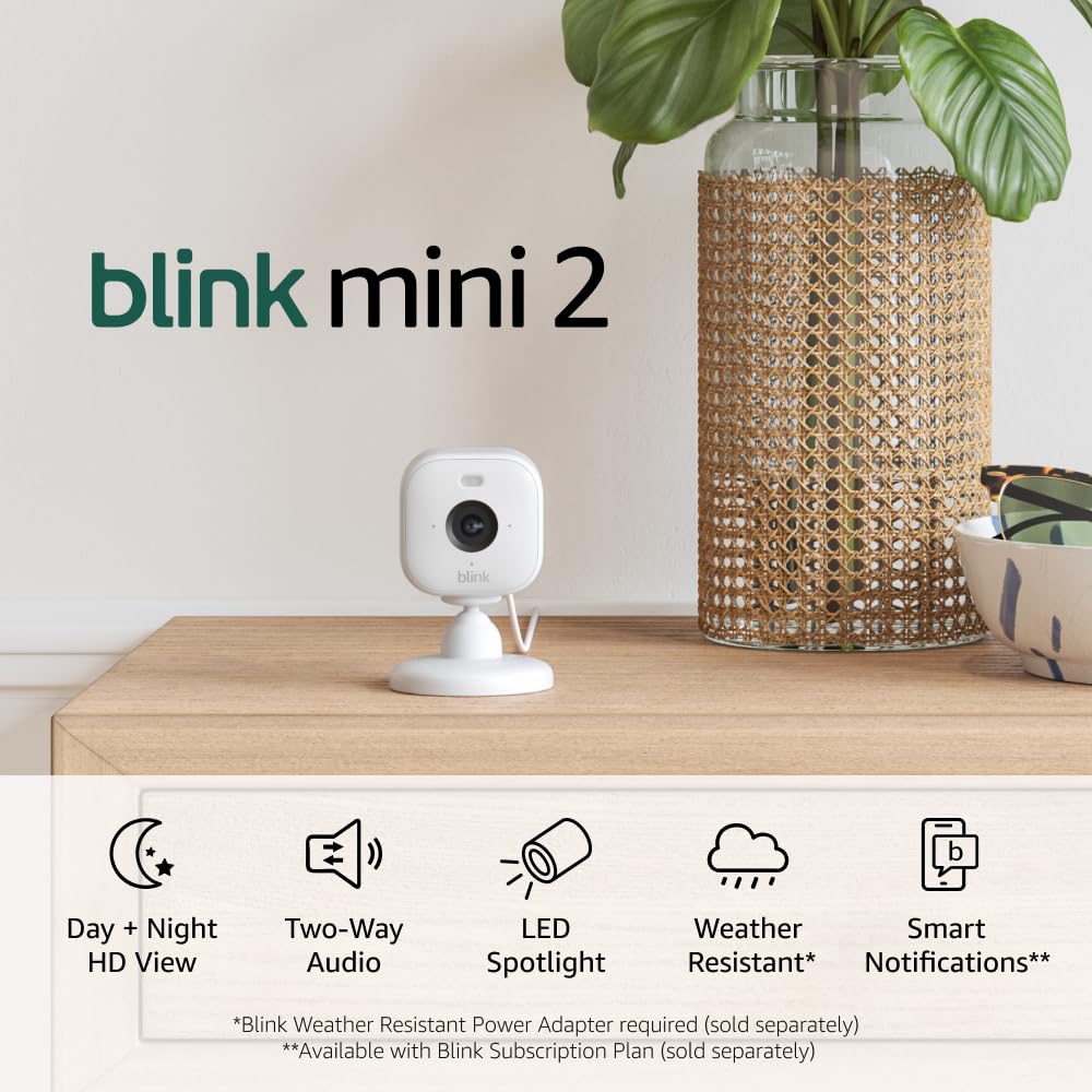 Mini 2 — Home Security & Pet Cameras with HD video, color night view, motion detection, two-way audio, and built-in spotlight — 2 cameras (White) White Camera 2 Cameras