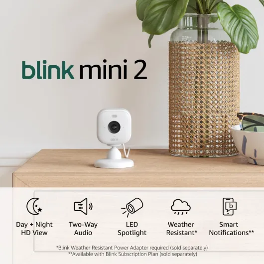 Mini 2 — Home Security & Pet Cameras with HD video, color night view, motion detection, two-way audio, and built-in spotlight — 2 cameras (White) White Camera 2 Cameras