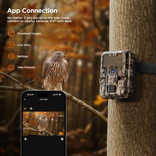 81qBpl-sEBL._AC_SL1500_