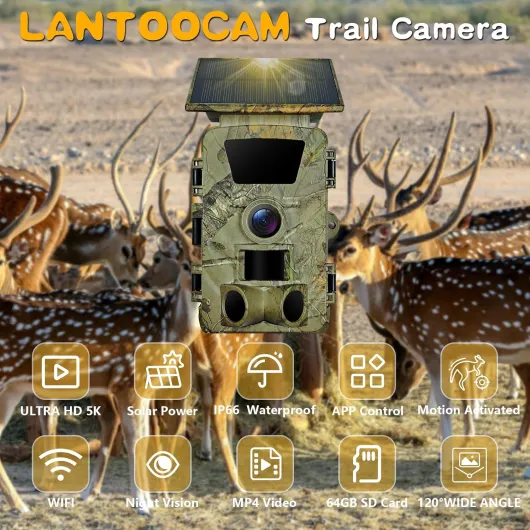 81K1lS5nFVL._AC_SL1500_