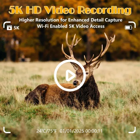 81GHsFoq9rL._AC_SL1500_