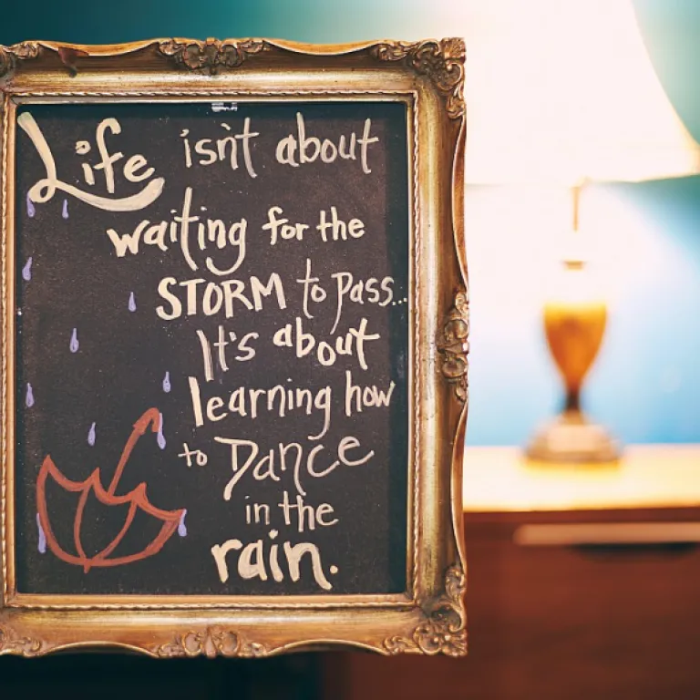 Choosing the right ser cable for your home security camera system