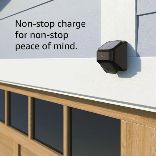 61NRs39K4fL._AC_SL1000_