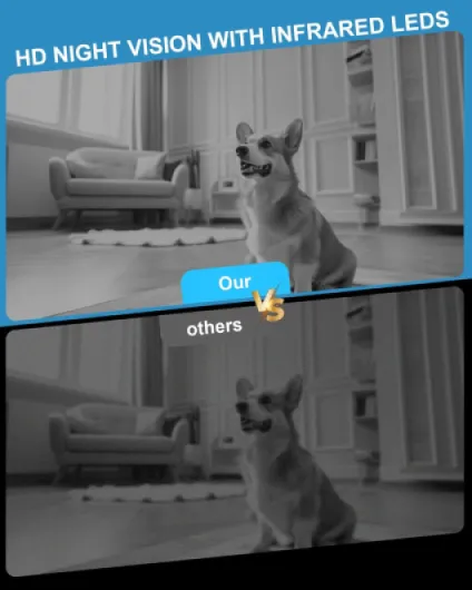 71LPvynC1eL._AC_SL1500_