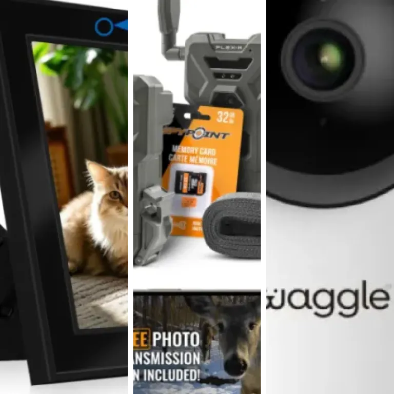 4 best security cameras with SD card storage: our comparison (2026)